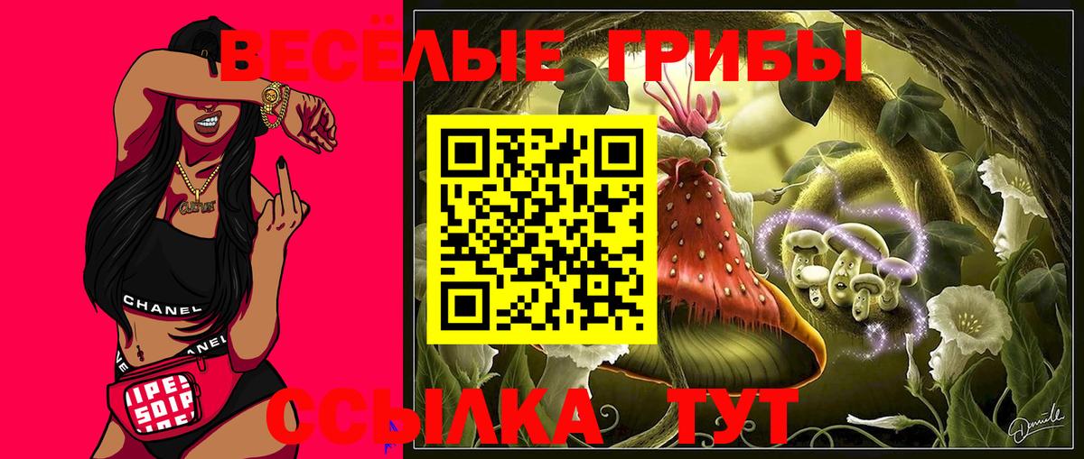 Холмск  Псилоцибиновые грибы Cubensis  Вход с VPN 